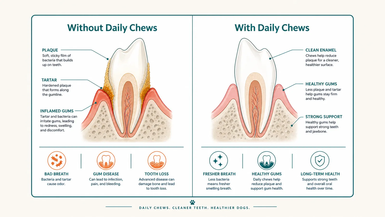 Side-by-side close-up of a dog's teeth showing plaque before versus cleaner teeth after regular dental chews