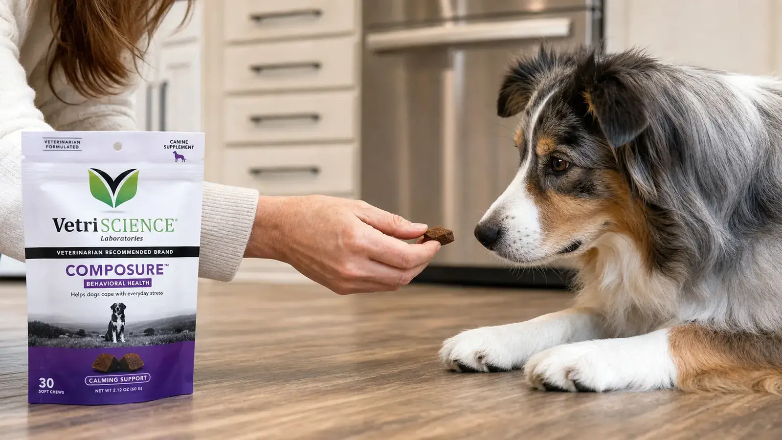 Woman's hand offering a small soft chew to a dog at eye level on the kitchen floor