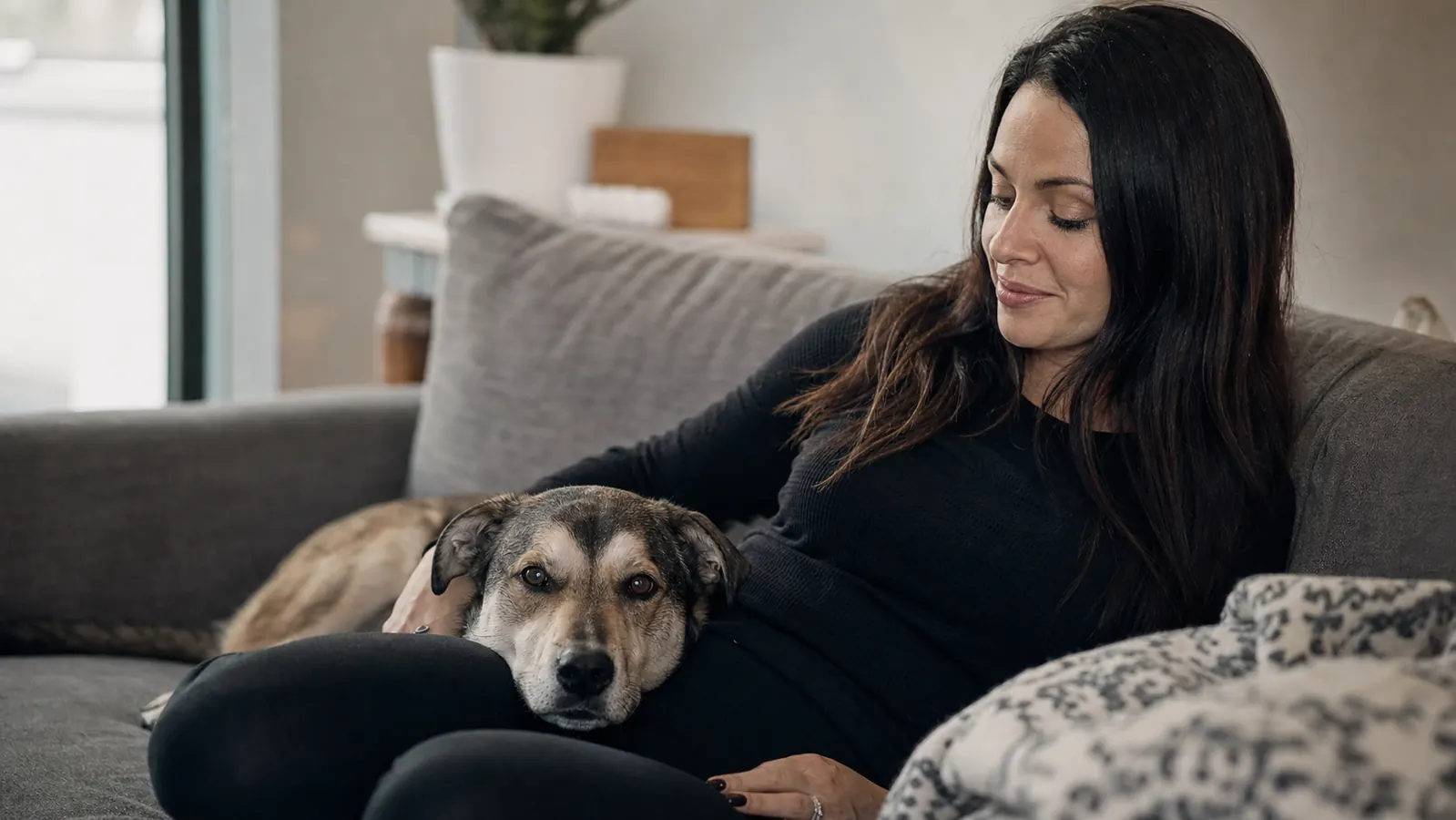 Dog and owner sitting together on a couch, dog appears relaxed and healthy
