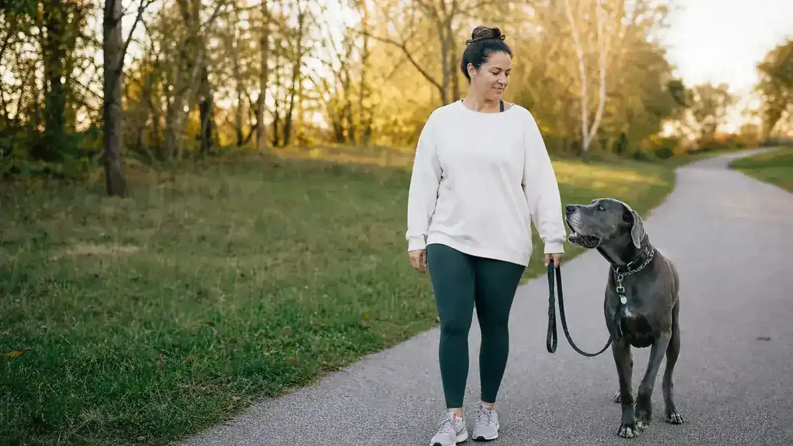 Owner and dog walking calmly on a park trail, dog at the owner's side with a slack leash